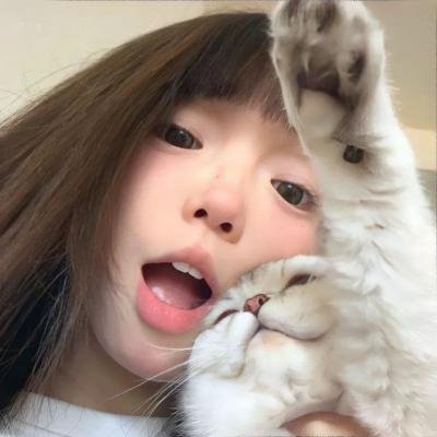 密探海芮：部落格大战